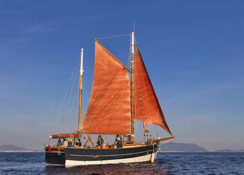 Le Cap des Palmes /  Sorties en Mer avec Skipper