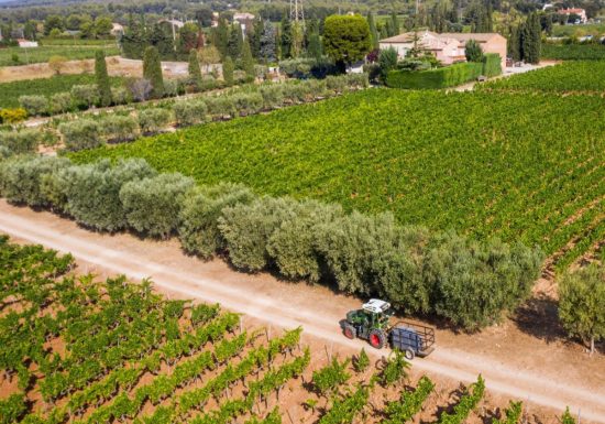 Domaine du Paternel