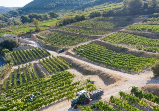 Domaine du Paternel