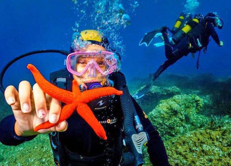 Bandol Diving / Explorations