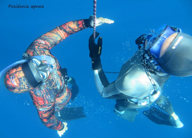 Posidonia Apnea