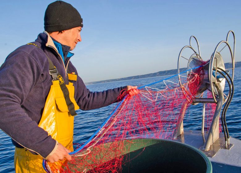 Erick Gaussen / Coastal Fisheries