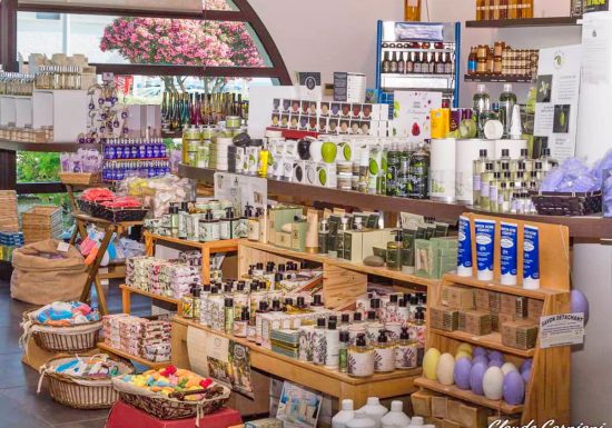 Rendez-vous en Provence