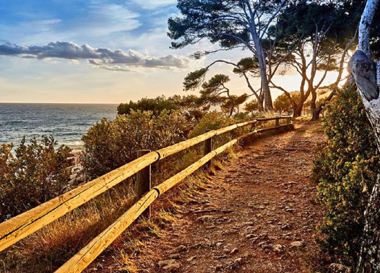 Coastal Path - Bandol