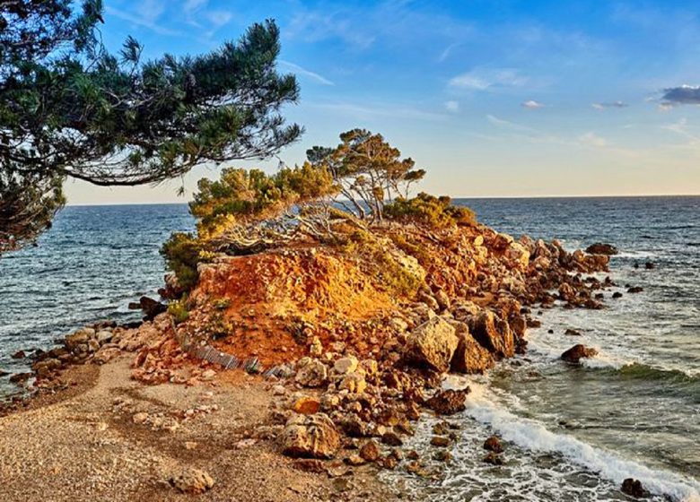 Coastal Path - Bandol