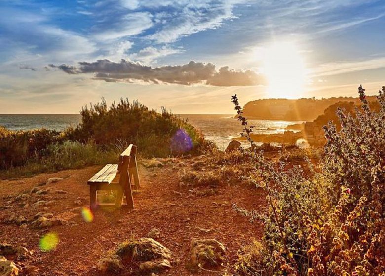 Coastal Path - Bandol