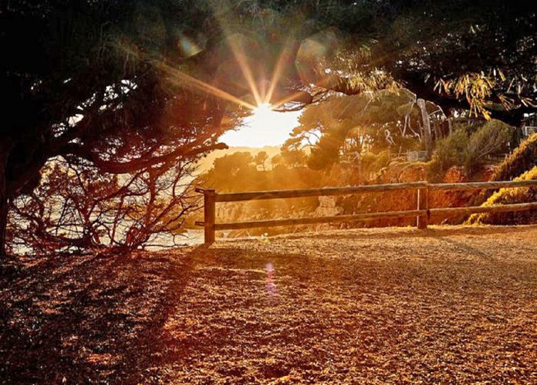 Coastal Path - Bandol