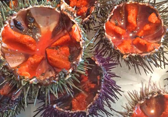 Poissonnerie La Peyrière